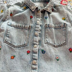Zara Embroidered Denim jacket